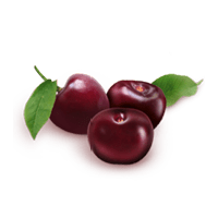 Symbol 1
